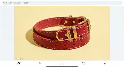 Classic Red Leather Collar