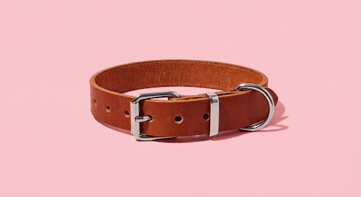 Rustic Brown Hide Collar