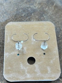 Blue Owl Earrings