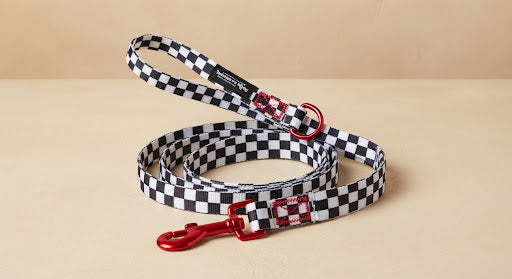 Checkmate Walker Harness